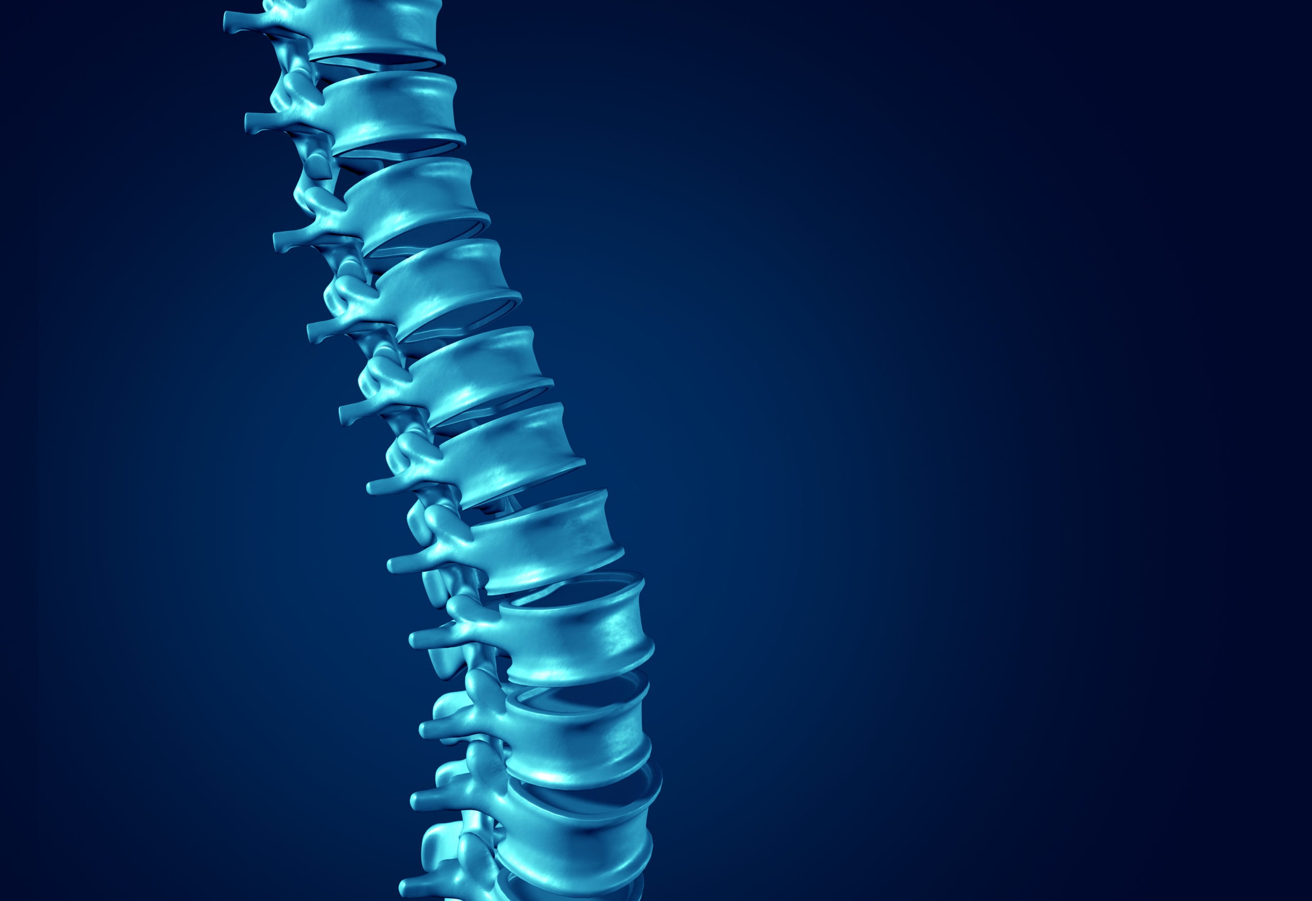 The Importance of Regular Spinal Health Maintenance and Chiropractic Care