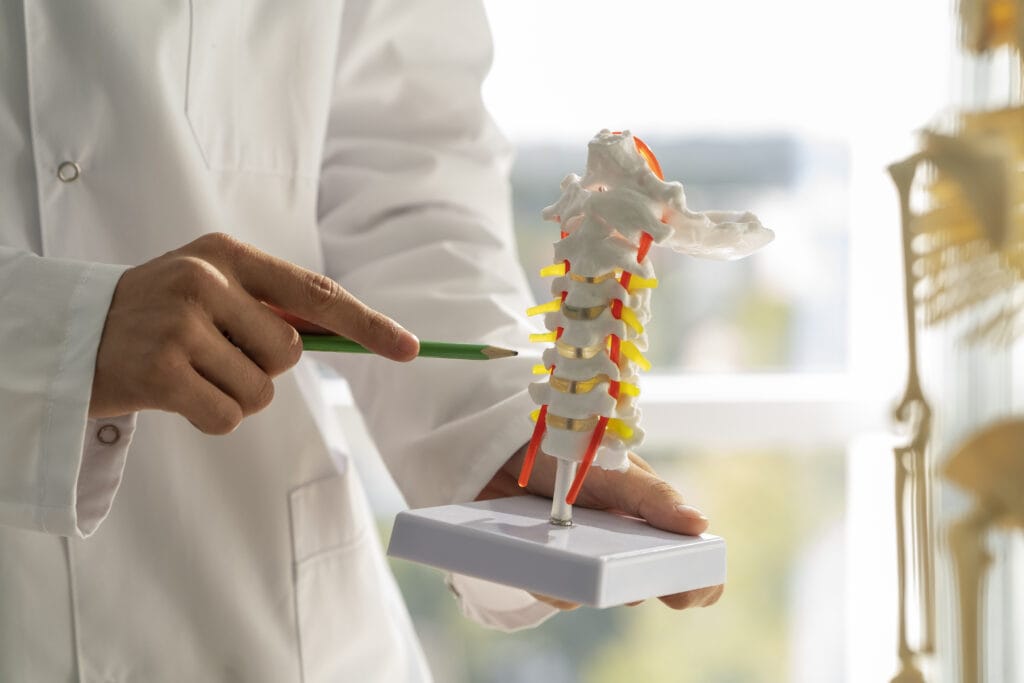 Multi-modal Approach to Pain: Chiropractic Care and Other Chronic Pain Management Techniques